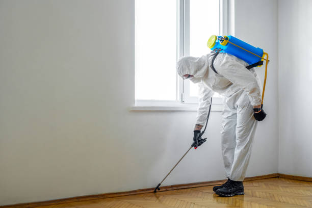 Inkerman, PA Pest Control Company