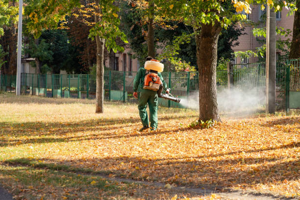 Reliable Inkerman, PA Pest Control Solutions