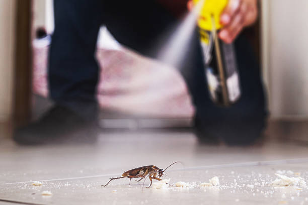 Best Residential Pest Control  in Inkerman, PA